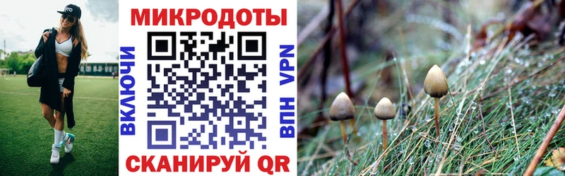 Галлюциногенные грибы Cubensis  купить наркотики цена  Курчатов 